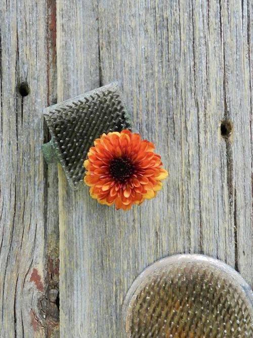 LEXY BRONZE NOVELTY POMPONS